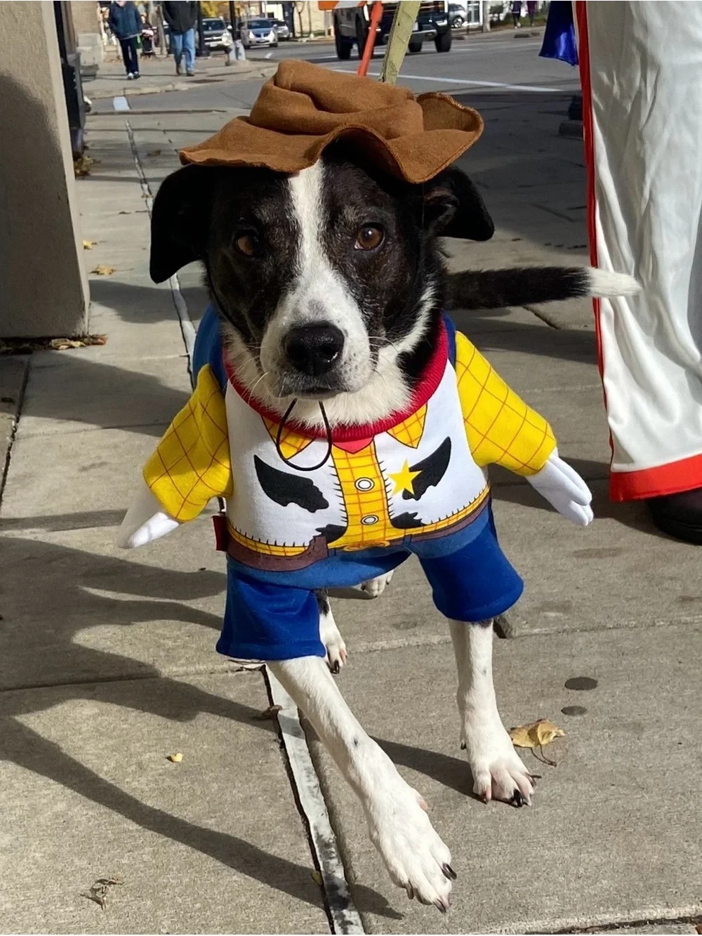 Dog Cowboy Costume 2-piece - Toy Story Woody